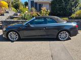 Audi A5 Cabriolet advanced 35TFSI 110KW S tronic - graue Audi Cabriolet
