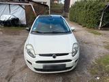 Fiat Punto Evo in weiß mit schwarzem Dach - Fiat Punto Evo in Wuppertal