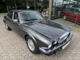 Jaguar Daimler Double Six XJ12 - graue Jaguar XJ12