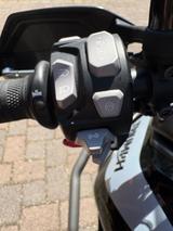 Triumph Tiger 900 GT Pro (11/2020) - TRIUMPH 900