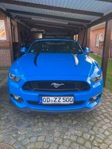 Ford Mustang 5.0 Ti-VCT V8 GT Auto GT - Ford Mustang Gebrauchtwagen in Hamburg