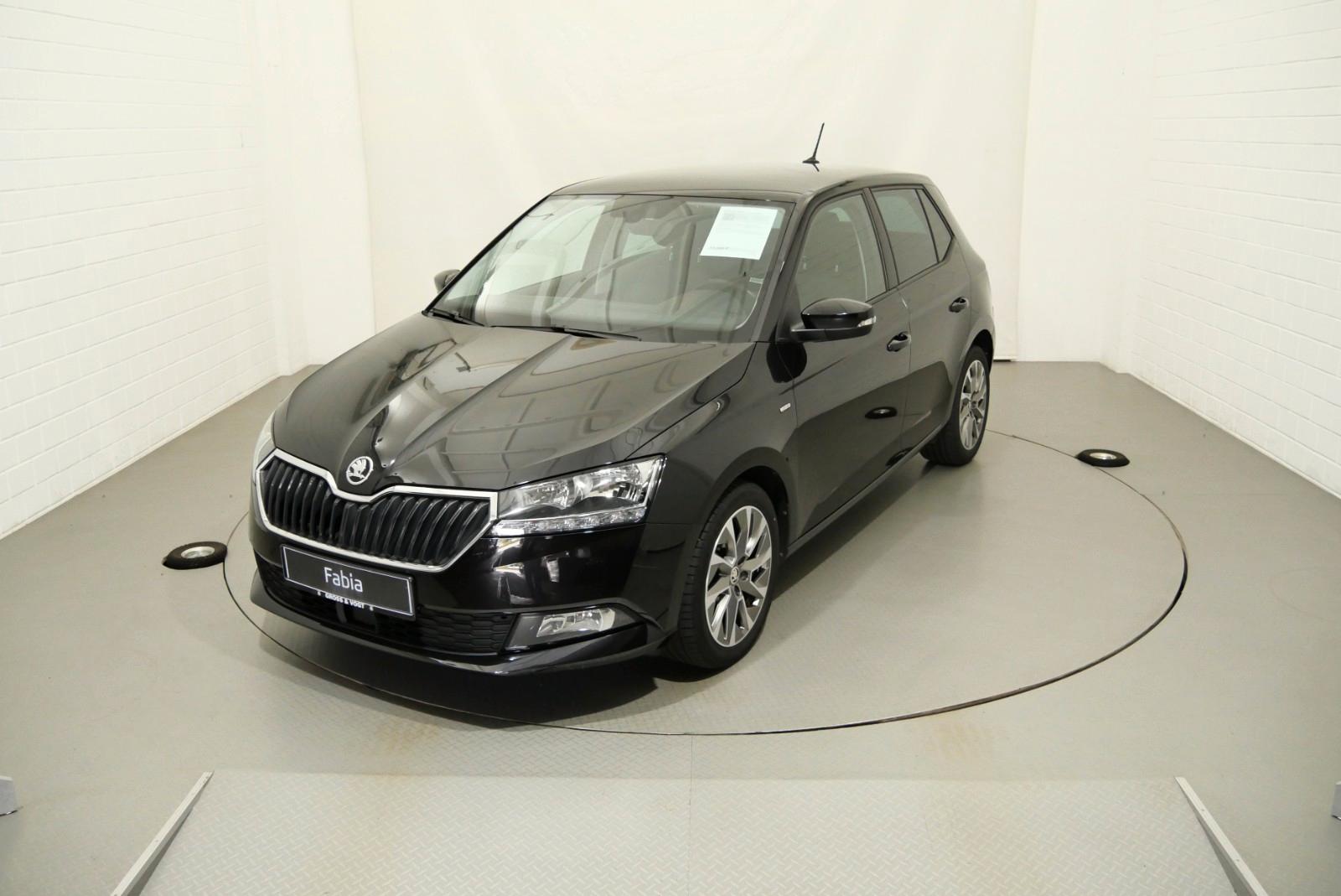 Skoda Fabia Clever 1.0 TSI PDC SHZ