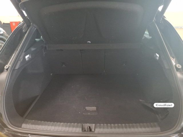 Cupra Terramar - Bild 6
