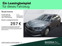 Skoda Octavia - Vorschau Bild 2