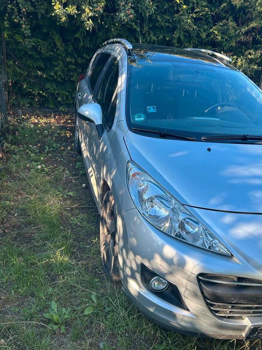 Peugeot 207 2010 — rear view