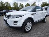 Land Rover Range Rover Evoque Pure - Land Rover in Chemnitz