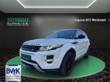 Land Rover Range Rover Evoque Dynamic Sport mit absolutem V - Land Rover aus 2015