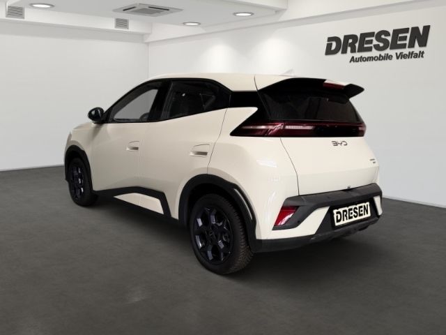 BYD DOLPHIN SURF