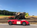 Austin Healey Rennwagen  Strassenzulassung FIA - Austin Healey Gebrauchtwagen von 1960