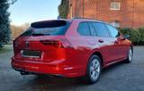 Volkswagen Golf 8 Variant 1.0 eTSI DSG IQ.Light - Volkswagen Golf mit Benzin-Antrieb: Kombi, 1.8
