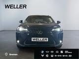 Lexus UX 250h F SPORT Design *Bi-LED*ACC*RCam*SHZ*PDC* - Lexus UX in Hannover