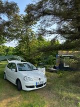 Volkswagen Polo 1.4TDI BlueMotion BlueMotion - Volkswagen Polo aus 2007 mit Diesel-Antrieb
