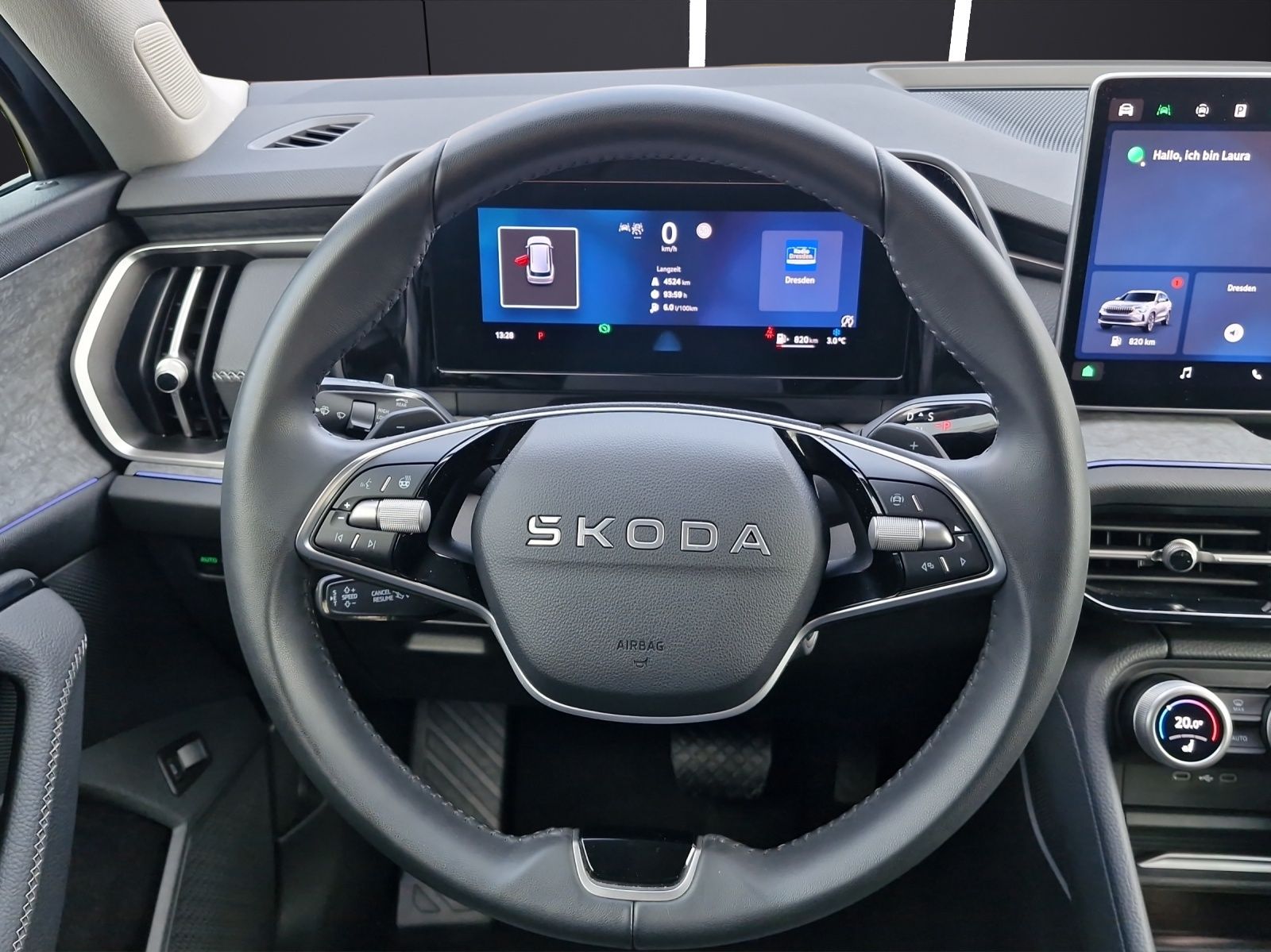 Fahrzeugabbildung SKODA Kodiaq 2.0 TDI  4x4 Selection MATRIX AHZ KAMERA