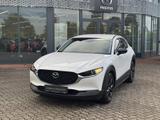 Mazda CX-30 2.5L e-SKYACTIV G 140ps Homura Allwetterre - gebrauchte Mazda CX-30 aus dem Jahr 2024