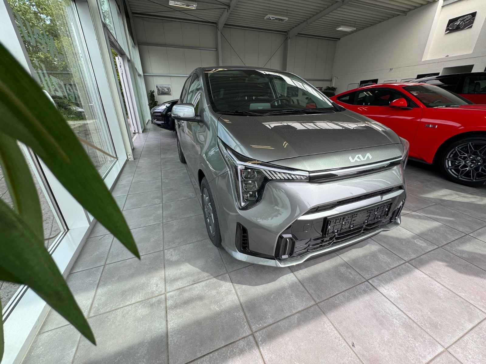 Fahrzeugabbildung Kia Picanto Dyn Line Plus/Sofort