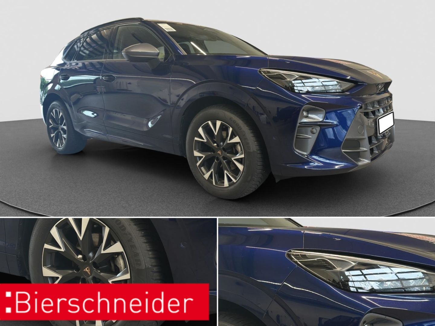 Cupra Terramar - Bild 12