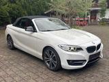 BMW 228 i Sport Line Cabrio LederRot NAVIPROF - BMW 228 aus 2016