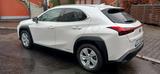 Lexus UX 250h Style Edition Style Edition - Lexus Gebrauchtwagen in Frankfurt