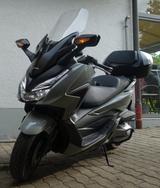 Honda Forza 350- Top Zustand, Navi & Top Case, 1. Hand - MOTORRAD NAVI