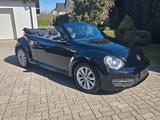 Volkswagen Beetle Cabriolet Basis BMT - Volkswagen Beetle in Essen