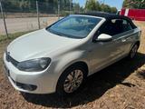 Volkswagen Golf 1.4 TSI 90 kW LIFE Cabriolet  - Volkswagen Golf: 1.9