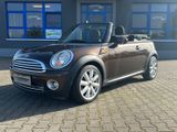 MINI COOPER Cabrio Cooper - MINI MINI: Braun
