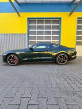 Ford Mustang Ford 5.0 Bullitt/RECARO - Ford Mustang in Ludwigshafen
