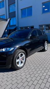 Jaguar F-Pace 25t AWD Pure Automatik Pure - Jaguar F-Pace von privat