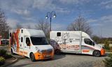 Opel Movano - Pferdetransporter für 2 Pferde