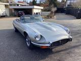 Jaguar E-Type v12 , ground up restoration - Jaguar E-Type: Cabrio, V12