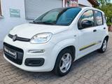 Fiat Panda Young, City, KLIMA, ZV, 1 Hand, TÜV NEU !! - Fiat Panda Young mit Benzin-Antrieb