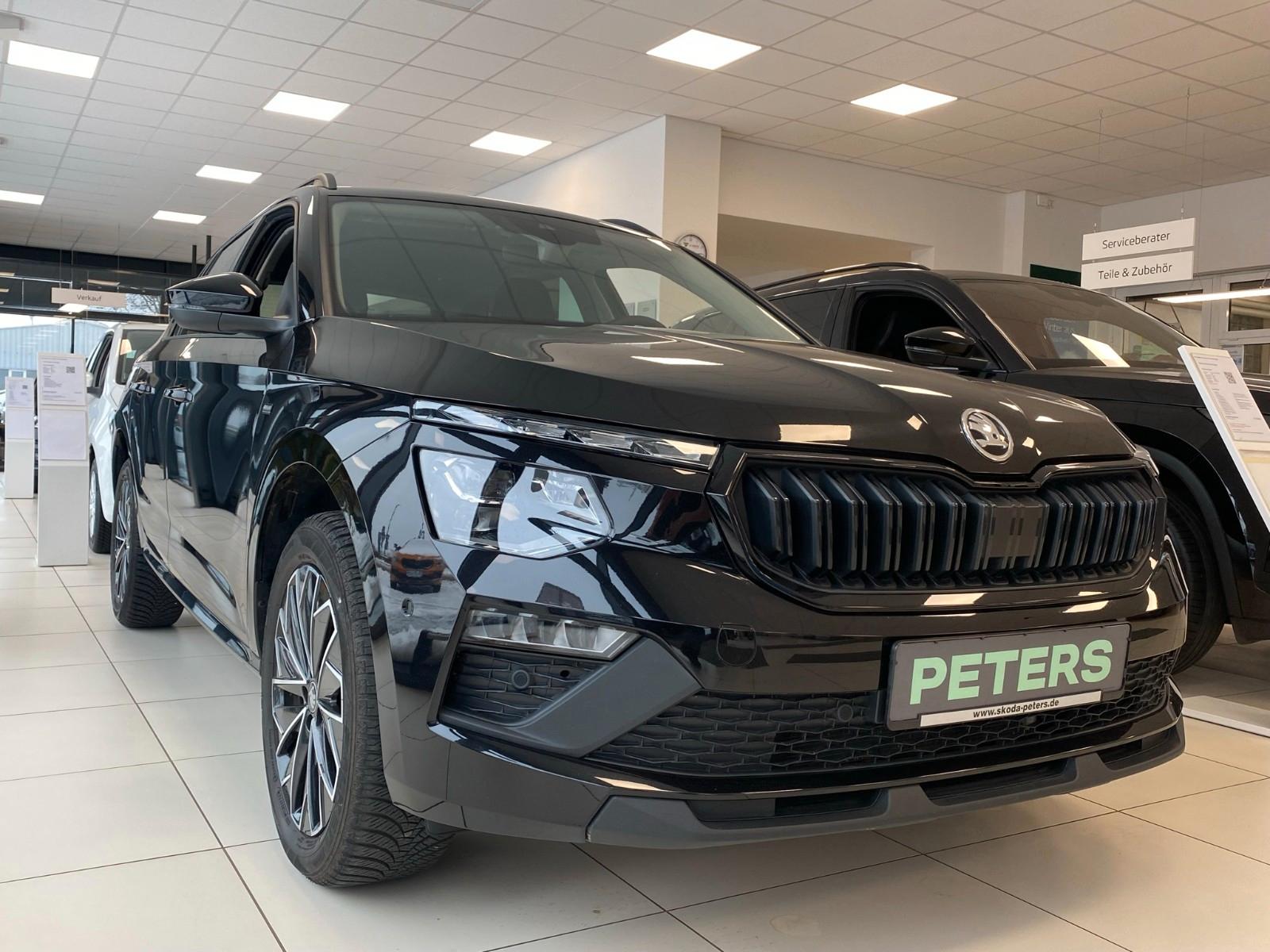 Skoda Kamiq 1.5 DSG Selection Matrix Frontscheibenhzg.