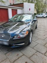 Jaguar XF 3.0  KelyesGoo - Jaguar XF in Bremen