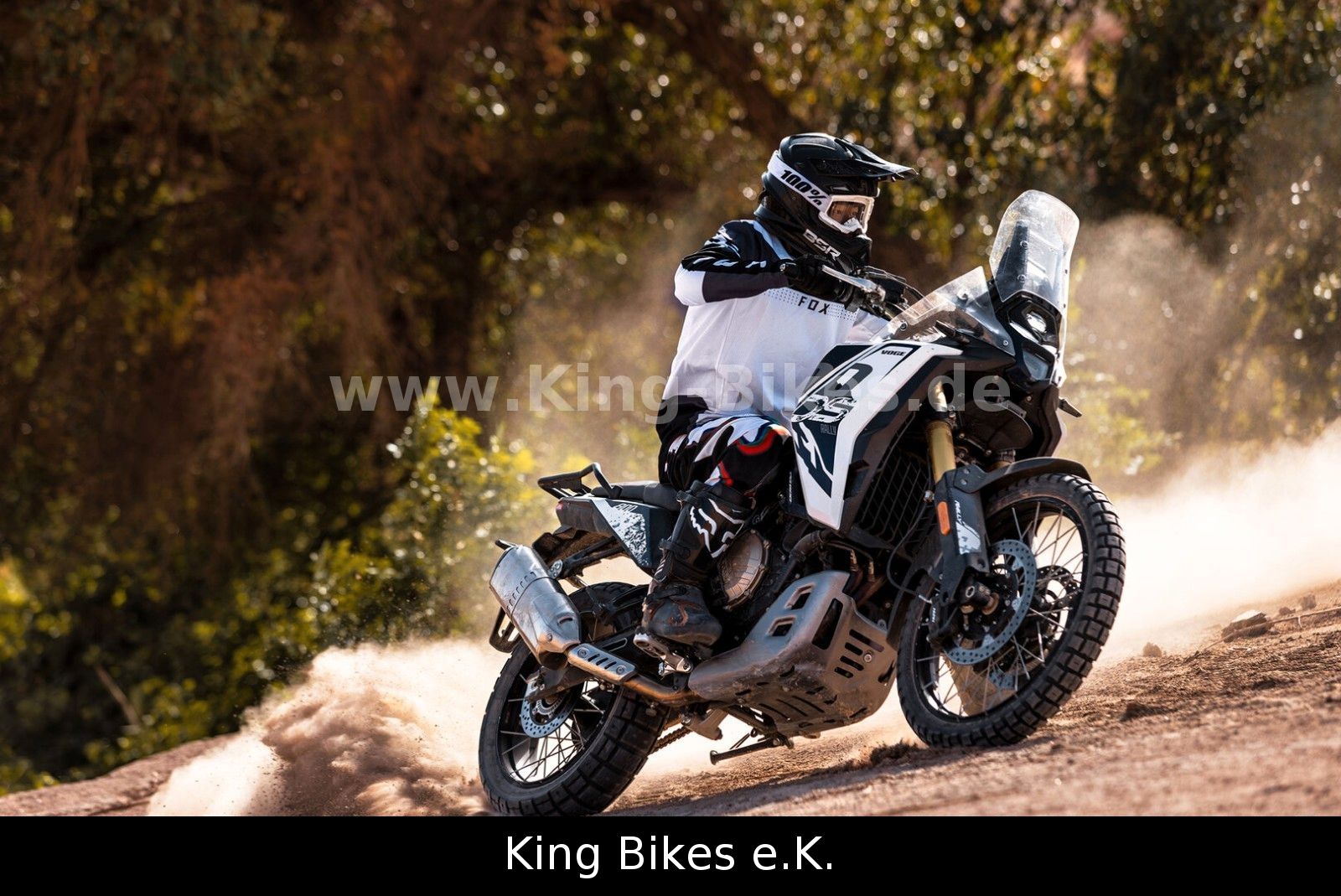 Fahrzeugabbildung VOGE 800DS RALLY/DS800X RALLY -Inkl. 3 Jahre Garantie