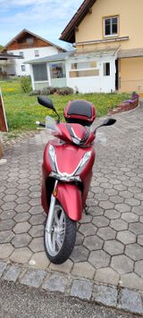 Honda SH 350 i - Offers matching your search criteria