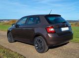 Skoda Fabia 1.2l TSI 81kW Edition  - Skoda Fabia: Edition