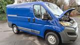 Peugeot Boxer Y, Version GY, L1 H1 - Angebote