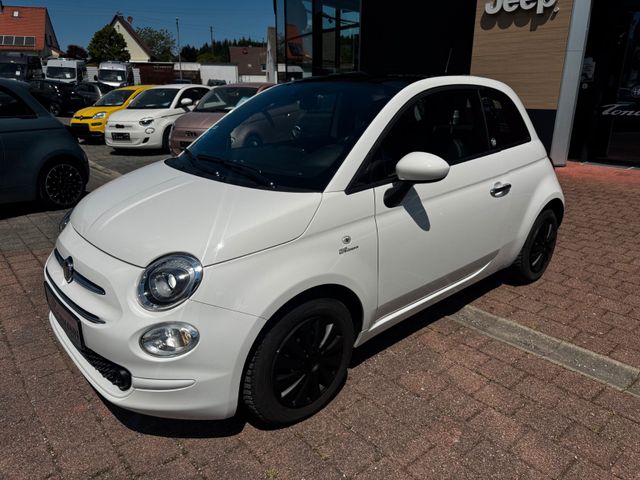 Fiat 500 1.0 Launch Edition Glasdach Carplay Klima