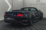 Ford MustangGT 5,0 V8,Shelby.Cabrio,ACC,Sitzkühl,Digi - Ford Mustang: Cabrio, Shelby