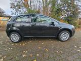 Fiat Punto Evo 1.4 Sehr gepflegt auto - Fiat Punto Evo mit Benzin-Antrieb: Kleinwagen, 1.4