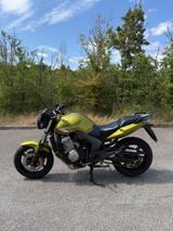 Honda CBF 600 - HONDA 2010 CBF 600