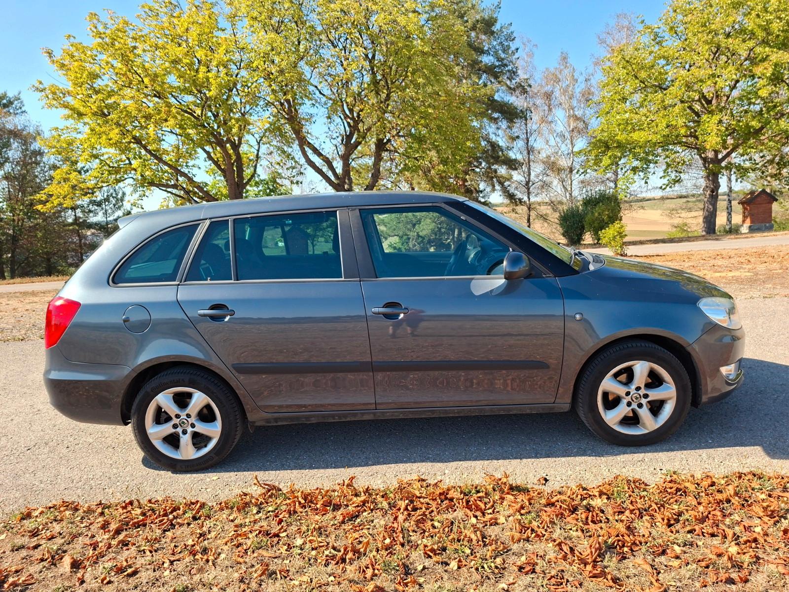 Skoda Fabia 2010 — rear view