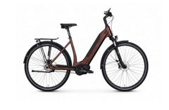 Andere EBM E-Bike Continental Revolution UVP 4.619,90€