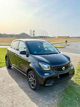 Smart forfour 90PS passion DCT cool&audio SHZ Pano PDC - Smart ForFour in Hagen