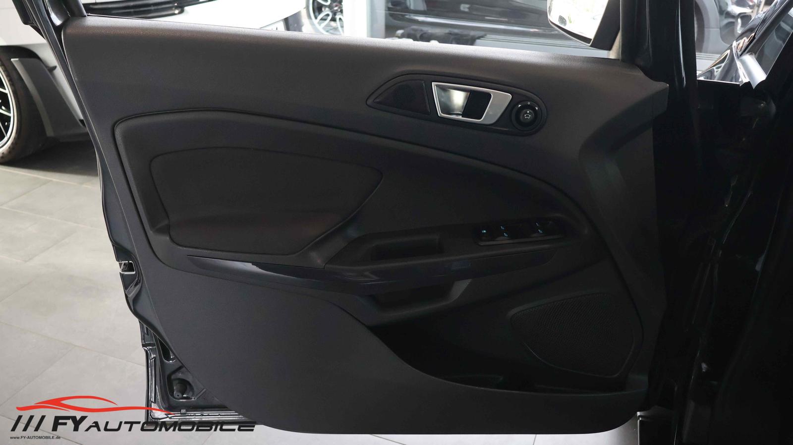 Ford EcoSport 2015 — photo 9