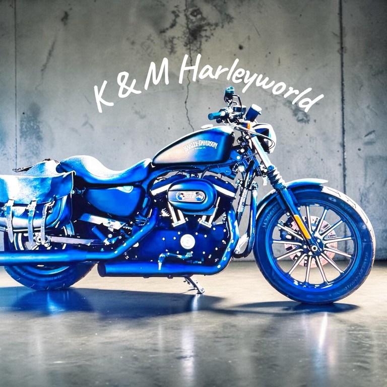 Harley-Davidson IRON Ledertaschen, 1. Hand