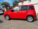Fiat Panda More 1.Hd  Klima/PDC/MFL/LM-Räder - Fiat Panda: Rot