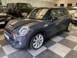 MINI COOPER S  5-trg. Pano,LED ,Navi,PDC - MINI MINI mit Benzin-Antrieb