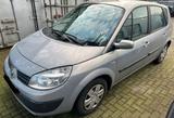 Renault Scenic 1.6 - Renault Megane in Oldenburg