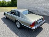 Jaguar XJS V12 / TOP-ZUSTAND ! - Jaguar XJS: Coupe, V12